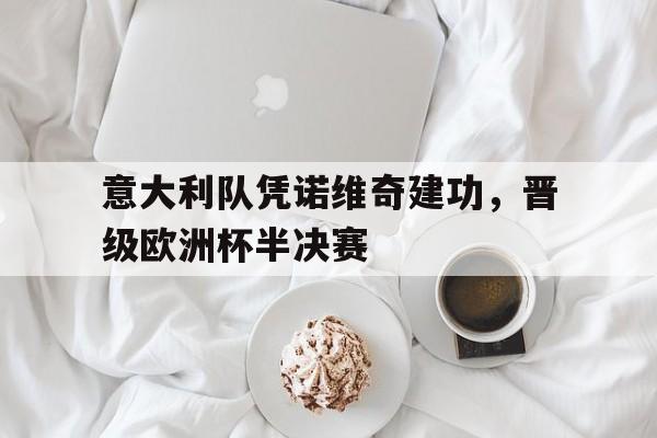 意大利队凭诺维奇建功，晋级欧洲杯半决赛
